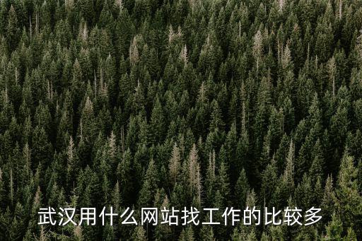武漢用什么網站找工作的比較多