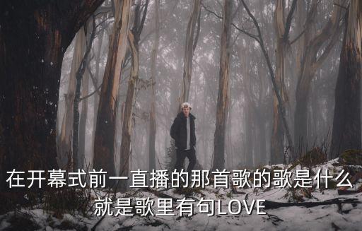 在開幕式前一直播的那首歌的歌是什么就是歌里有句LOVE