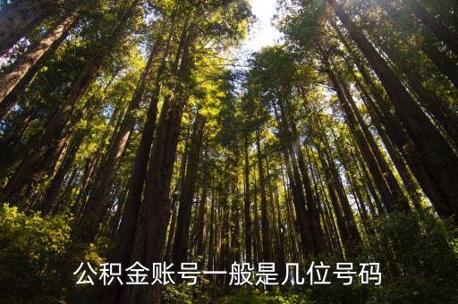 公積金賬號一般是幾位號碼