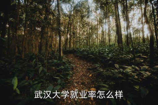 武漢大學就業率怎么樣