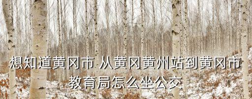 想知道黃岡市 從黃岡黃州站到黃岡市教育局怎么坐公交