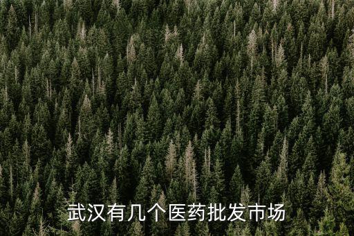 武漢有幾個醫藥批發市場