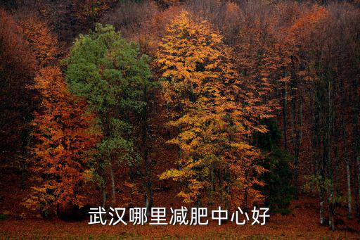 武漢減肥，武漢哪里減肥中心好