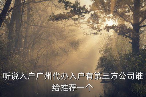 代辦入戶，給小孩上戶口可以找人代理上嗎