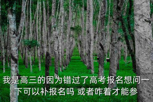 高考補報名，我是高三的因為錯過了高考報名想問一下可以補報名嗎 或者咋著才能參