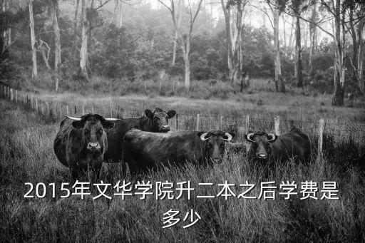 2015年文華學院升二本之后學費是多少