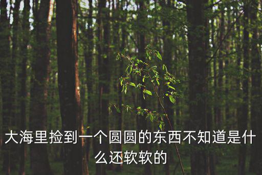 大海里撿到一個(gè)圓圓的東西不知道是什么還軟軟的