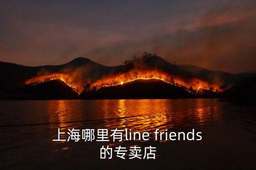 上海哪里有line friends的專賣店