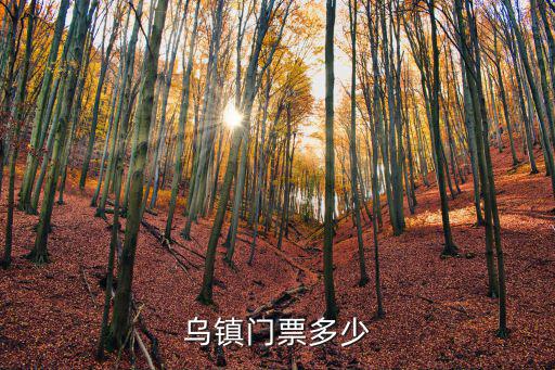 烏鎮門票多少