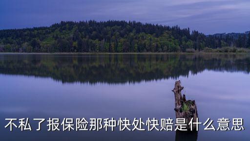 不私了報保險那種快處快賠是什么意思