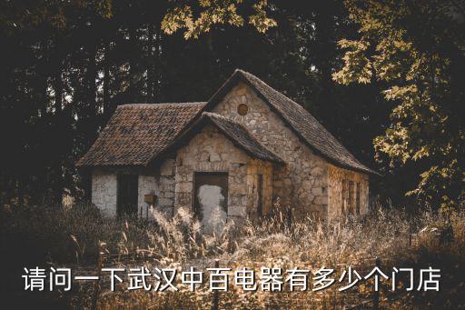 請問一下武漢中百電器有多少個門店