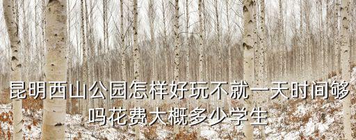 昆明西山公園怎樣好玩不就一天時(shí)間夠嗎花費(fèi)大概多少學(xué)生