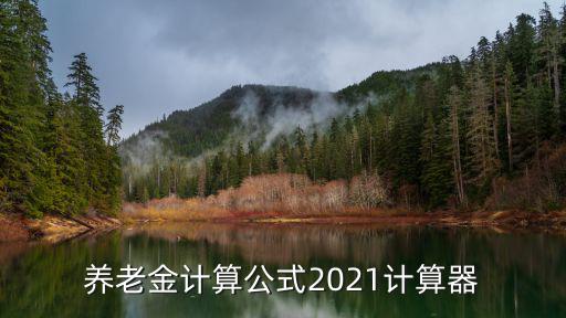 養老金計算公式2021計算器