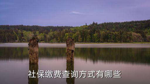 社保繳費查詢方式有哪些