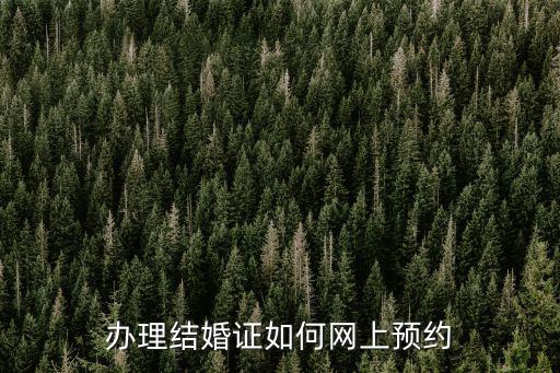 辦理結(jié)婚證如何網(wǎng)上預(yù)約