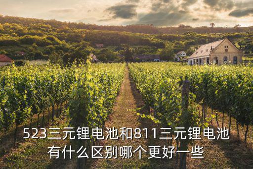 523三元鋰電池和811三元鋰電池有什么區別哪個更好一些