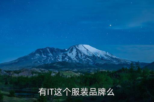 有IT這個服裝品牌么