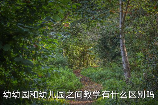 幼幼園和幼兒園之間教學有什么區別嗎