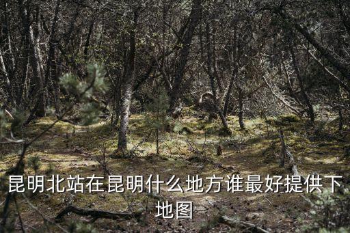 昆明北站在昆明什么地方誰最好提供下地圖