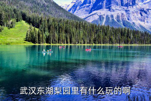 東湖梨園，武漢東湖梨園里有什么玩的啊