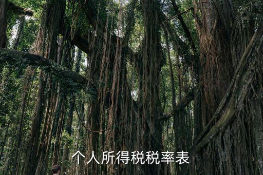 個(gè)人所得稅稅率表