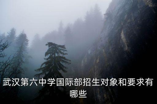 武漢第六中學國際部招生對象和要求有哪些