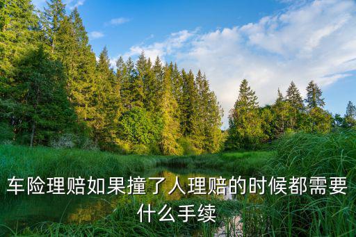 人被車(chē)撞后理賠的步驟，關(guān)于保險(xiǎn)理賠我開(kāi)車(chē)撞了人之后理賠流程求助
