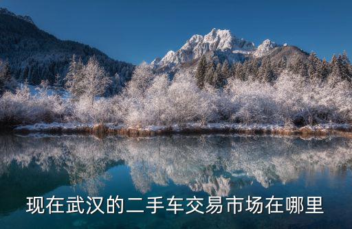 現(xiàn)在武漢的二手車交易市場(chǎng)在哪里