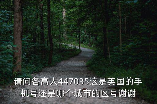 請問各高人447035這是英國的手機號還是哪個城市的區號謝謝