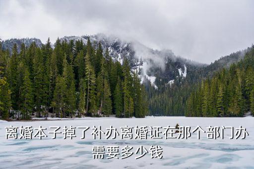 離婚本子掉了補(bǔ)辦離婚證在那個部門辦需要多少錢