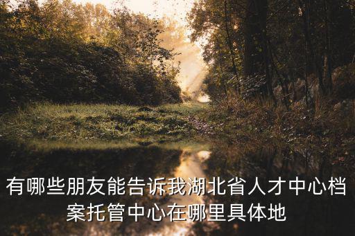 有哪些朋友能告訴我湖北省人才中心檔案托管中心在哪里具體地