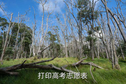 打印高考志愿表