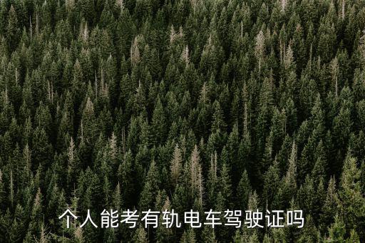 個人能考有軌電車駕駛證嗎