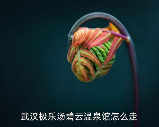 武漢極樂湯碧云溫泉館怎么走