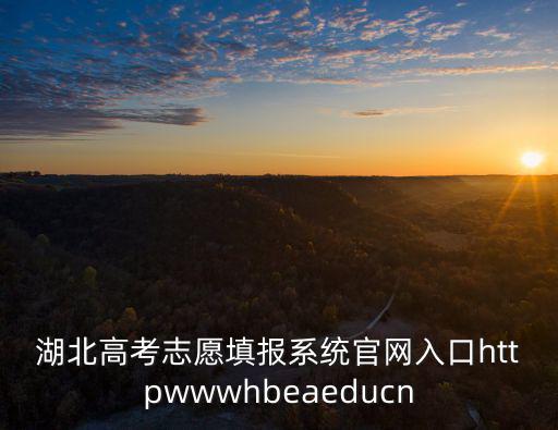 湖北高考志愿填報系統官網入口httpwwwhbeaeducn