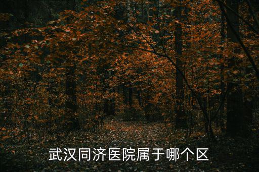 武漢同濟醫院屬于哪個區