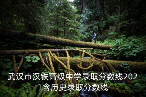 武漢市漢鐵高級中學錄取分數線2021含歷史錄取分數線