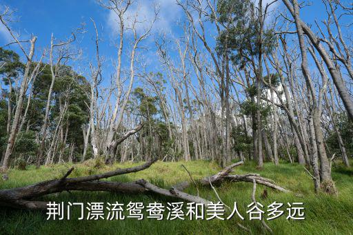 荊門漂流鴛鴦溪和美人谷多遠