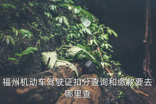 福州機動車駕駛證扣分查詢和繳款要去哪里查