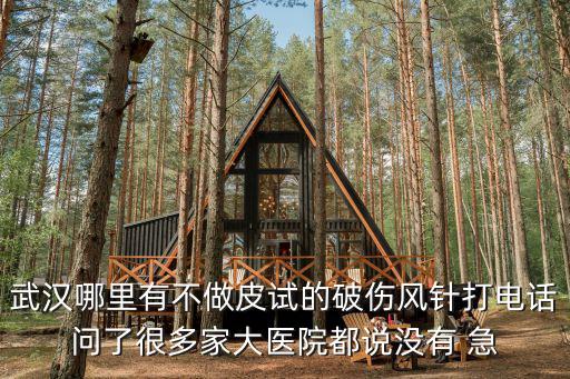 武漢哪里有不做皮試的破傷風(fēng)針打電話問了很多家大醫(yī)院都說沒有 急