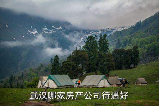 武漢哪家房產公司待遇好