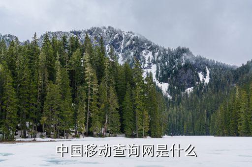 中國移動查詢網是什么
