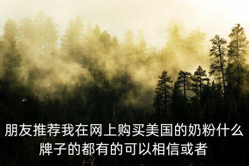 朋友推薦我在網上購買美國的奶粉什么牌子的都有的可以相信或者
