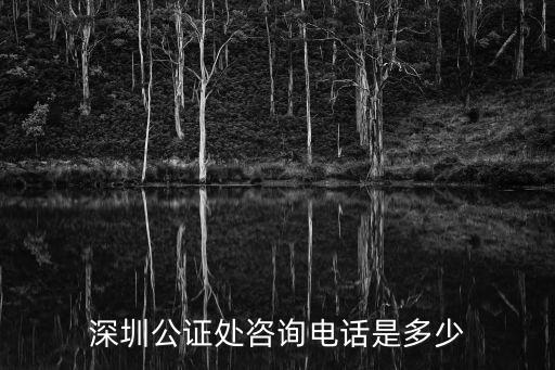 深圳公證處咨詢電話是多少