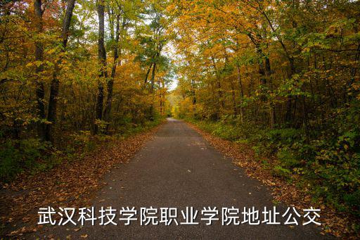 武漢科技學院職業學院地址公交