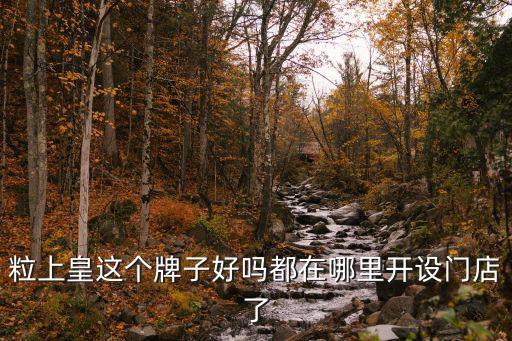 粒上皇這個(gè)牌子好嗎都在哪里開(kāi)設(shè)門店了