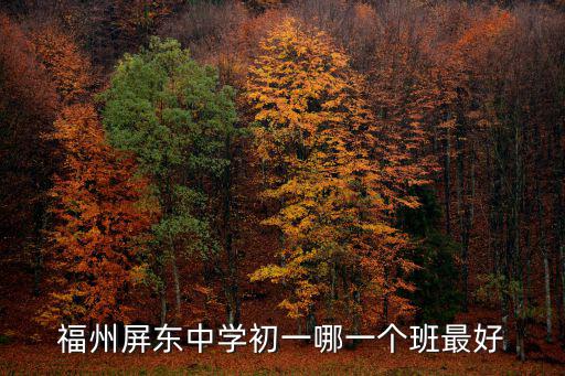 福州屏東中學初一哪一個班最好