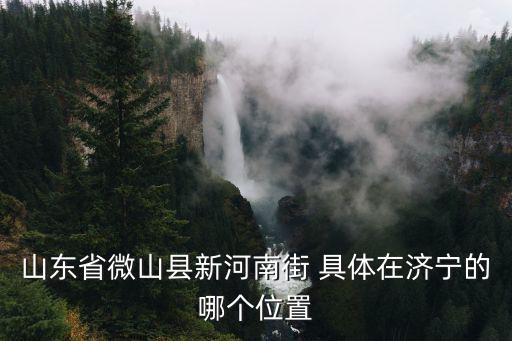 山東省微山縣新河南街 具體在濟寧的哪個位置