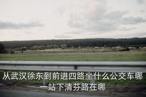 從武漢徐東到前進四路坐什么公交車哪一站下清芬路在哪