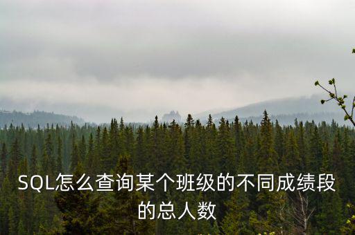 SQL怎么查詢某個班級的不同成績段的總?cè)藬?shù)